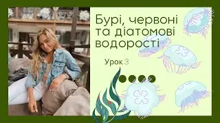 Бурі, Червоні та Діатомові  водорості. Біологія 6 клас. Підготовка до ЗНО