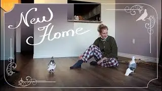 Moving with my homing pigeon.