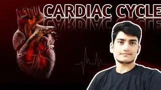 Cardiac cycle | Systol & Diastole | Cardiac volumes| detailed & easiest explaination | NEET