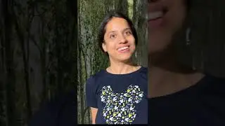 Secret tree of singapore MOBO LOLO | Anjali and Hunny #shorts