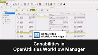Capabilities in OpenUtilities Workflow Manager
