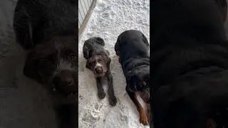 Бывает и такое, но терпение придёт со временем, главное не переживать 😉 