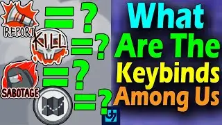 What Are The Among Us Keybinds