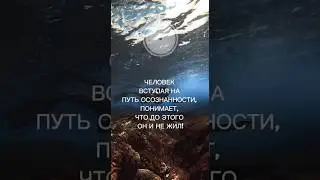 Путь осознанности