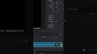 How To Make Video Play On Loop In Davinci Resolve