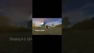 #roblox