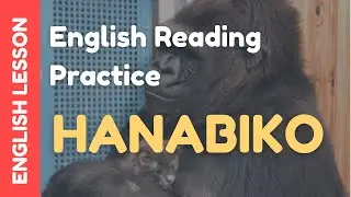 Learn English Through Story ★ Subtitles: The story of Hanabiko ( Level 1 )