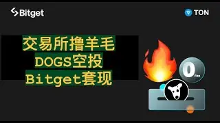 💰Bitget撸羊毛福利！DOGS空投Bitget套现——免转账手续费、免交易手续费活动！【币圈达人Bitget活动介绍20240820】