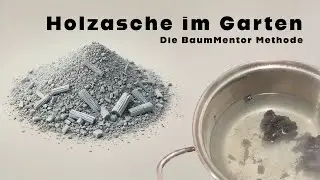 Using Wood Ash in the Garden – The Right Way for Healthy Plants!