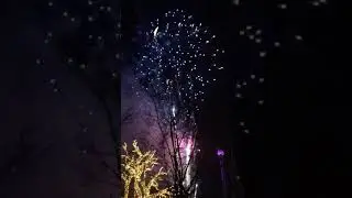 New Year’s Fireworks in Tivoli, Copenhagen