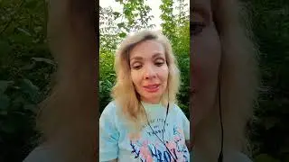 Притча про птицу и сухое дерево