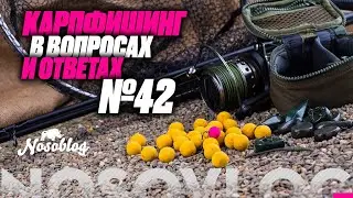 Карпфишинг в вопросах и ответах #42, Колесников А.