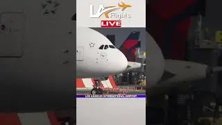 A LEGEND STRIKES AGAIN!