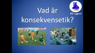 Vad är konsekvensetik? [Etik och moral] [En kort och enkel sammanfattning]