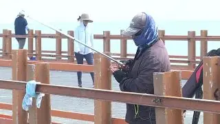 105 05 14《六輕之美》系列報導四釣魚篇