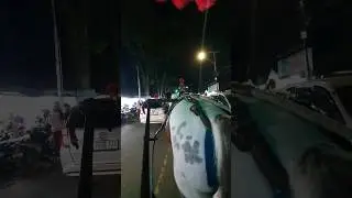 MALAM MINGGU NAIK BENDI || KOTA BUKITTINGGI #kudapacu #viral