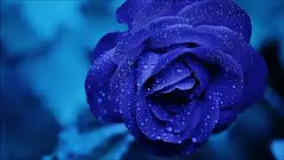 ELLE VALENCI ► PERFECT BLUE