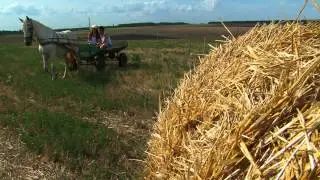 Прогулянка. Українська любов...
