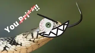 Green Hell - Slippery Snakes