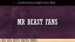 Mr Beast Community Fan Crypto Token Review - Presale