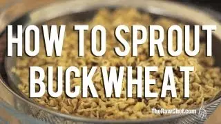 How to Sprout Buckwheat