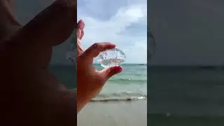 Пхукет - Ката пляж 🏝️ большое количество медуз после дождя