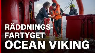 ”Vi beskrevs som änglar – nu som smugglare”