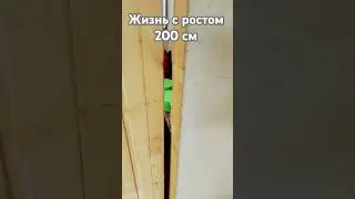 22 июня 2024 г.