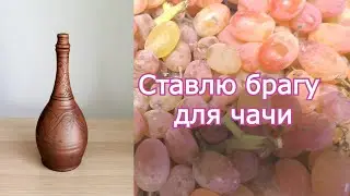 Брага для чачи