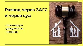 Как и куда подать на развод? Расторжение брака через ЗАГС и через суд.