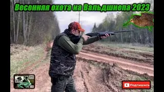 Весенняя охота на Вальдшнепа 2023