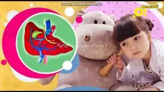 Переключение каналов (12.09.2018) Пакет ''Детский''
