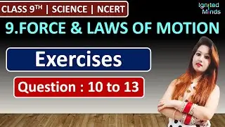 Class 9th Science Chapter 9 | Exercise Questions (Q10,Q11,Q12,Q13) | Force & Laws of Motion | NCERT