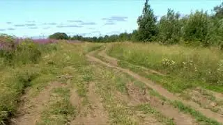Грязев А. А. зарисовка  