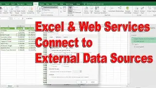 Excel & Web Services Connect to External Data Sources | Excel Tutorial Part 18/50