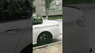 Видео друга #рекомендации2024 #edit #meme #memes #реки