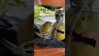 💀 🌴 🦇 