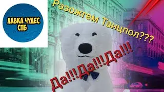 Большой белый мишка|💖💖💖Поздравление любимой дочке от родителей💖💖💖 #shorts #аниматорыспб #сюрприз