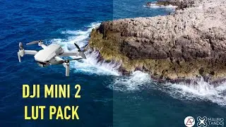 DJI MINI 2 LUT BASIC PACK