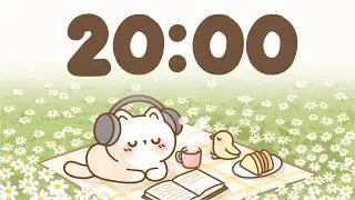 20 Minute Timer 🐱 Study Timer for Classroom Focus