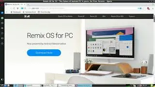 Install remixOS, Dual Boot with Kali Linux without making separate disk partition