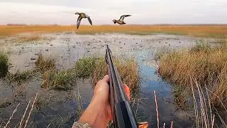 Ducks DUMPED Into Our Decoy Spread! (Limited Out) | Hunting a TINY Puddle For Ducks (Remastered)