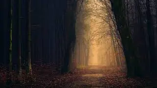 Guitar Melody Loop Sample - Lesser [C#m 135bpm] - Download Guitar Loop Pack Free