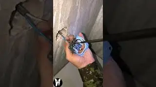 Для новичков, установка розеток 