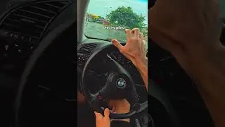 Imagina se ele não seguro a BM 😥