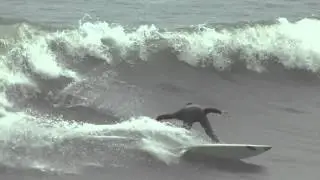 Surf Diego Schmitz .
