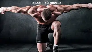 Махи гантелями вперед лежа на наклонной скамье. Смотрите на kanaltela!