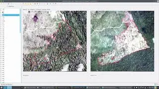 mapbiomas
