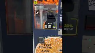 Вы можете за 200-250 рублей сделать себе фреш в Аэропорту Еревана Звартноц!