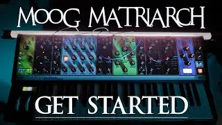 MOOG Matriarch FOR COMPLETE BEGINNERS | Modular & Subtractive Synthesis Tutorial